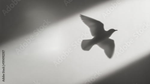 Bird flying in light symbolizing freedom and hope