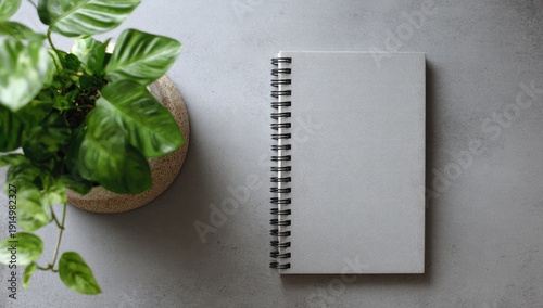 Overhead view of a blank spiral-bound notebook beside a potted plant with vibrant green leaves on a neutral gray surface