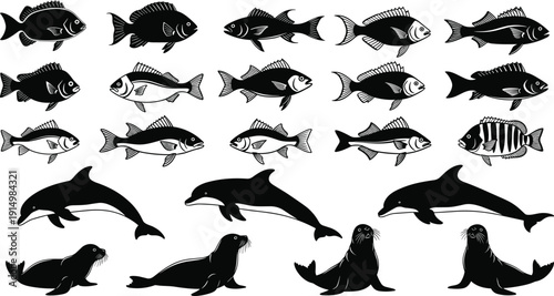 Black fish silhouette set, dolphin and seal sea animal vector icons, marine life aquatic collection, ocean wildlife design elements, nautical underwater nature illustrations,