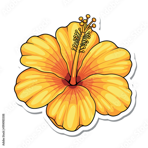 A vibrant orange hibiscus flower with yellow petals and a red center