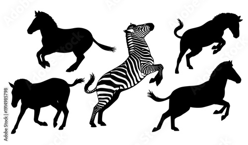Dynamic Zebra Silhouette Vector Illustration with Running and Jumping Wildlife Poses