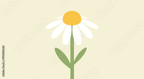 Simple Daisy Flower Illustration with Yellow Center and White Petals.