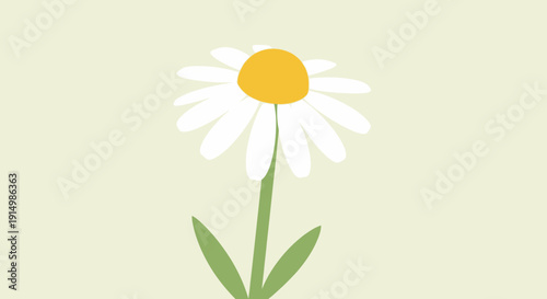 Simple Daisy Flower Illustration with Green Stem and Leaves.