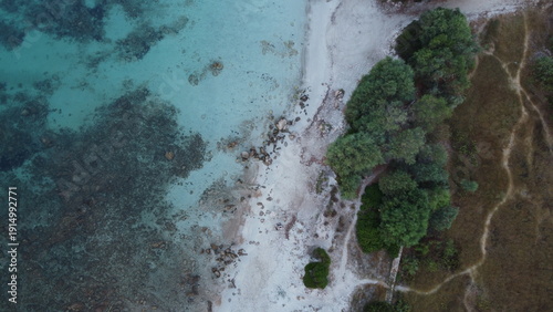 Wallpaper Mural Treelined Shoreline With Turquoise Waters. Serene Seaside Walkway Bordered By Trees And Vibrant Waters Torontodigital.ca