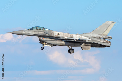 Bild auf Leinwand Avión de combate con depósitos conformables aterrizando