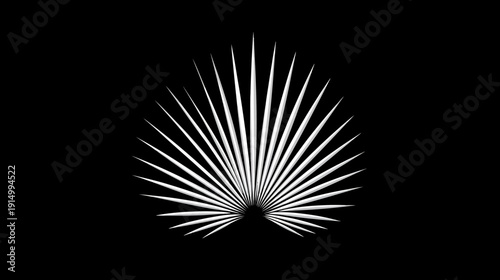Stylized, symmetrical representation of a fan palm leaf with long, slender white segments on black