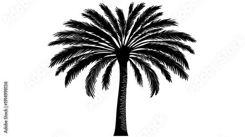 Silhouetted illustration of a palm tree against a plain white background, rendered in solid black