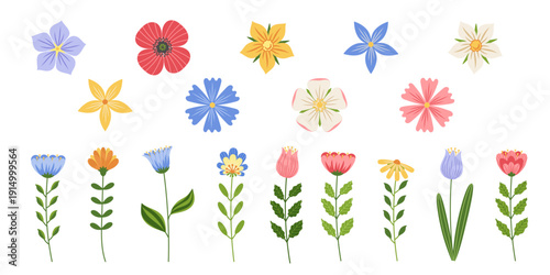 Set of cute simple branches and wild flowers. Minimal retro vector illustration of spring delicate flowers with green leaves isolated on white background.