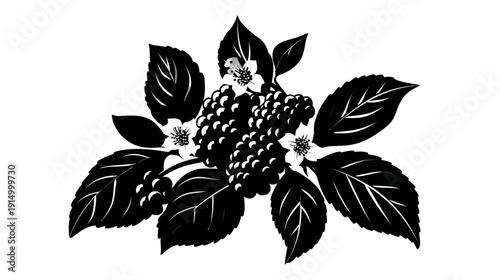 A monochrome illustration features a cluster of berries, surrounded by leaves and delicate flowers