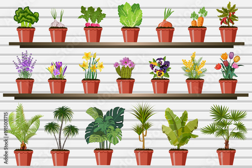Large collection of potted plants on a striped background.Color vector illustration with vegetables, flowers and palm trees in pots.