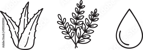 Vera Herbal Organic Skincare Natural Beauty Icons