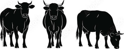 Large collection of cute cartoon animal characters including elephant tiger giraffe farm animals and birds isolated on white background for children education and design.