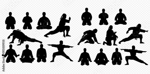 Collection of martial arts silhouettes demonstrating various combat and meditative poses, perfect for sports and fitness designs.