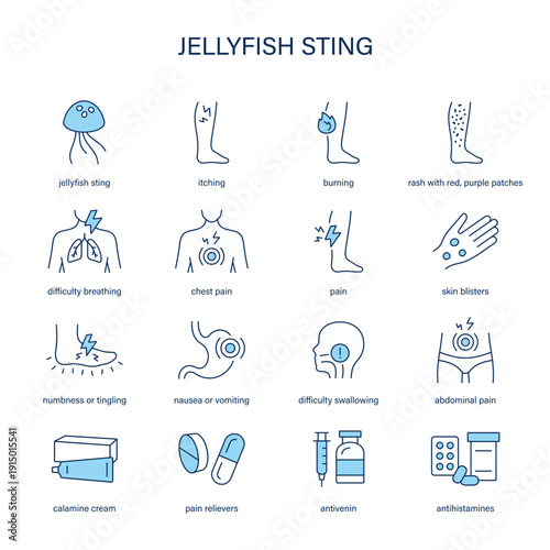 Jellyfish Sting symptoms, diagnostic and treatment vector icon set
