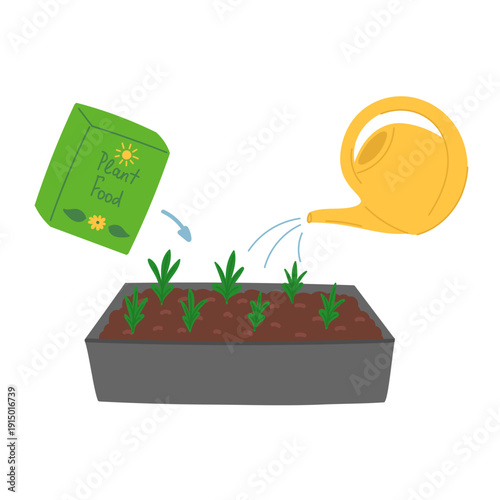 Seedlings growing process in tray in flat cartoon design. Vector illustration