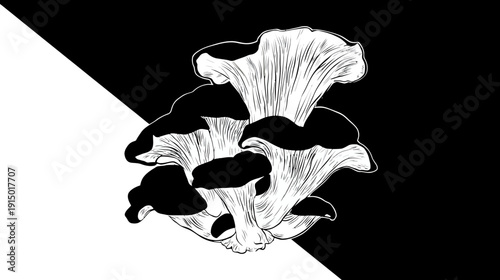 A black and white illustration of mushrooms on a diagonal split background