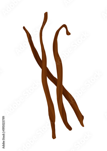 Vanilla pods or stick. Realistic vector design isolated element. Nature spice with drops