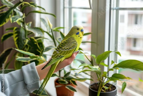 Bright green ringneck budgie perched on a hand amidst lush indoor plants near a sunlit window