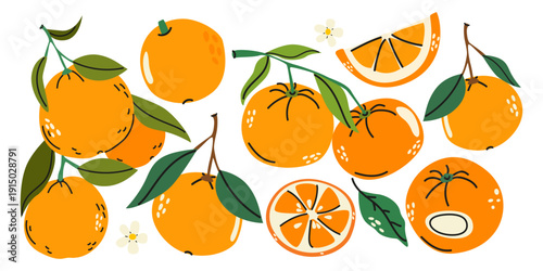 Bright orange fruits elements set in cartoon style. Fresh citrus with leaves and branches, ripe oranges whole and sliced. Natural organic sweet and sour ingredient. Vector illustration isolated