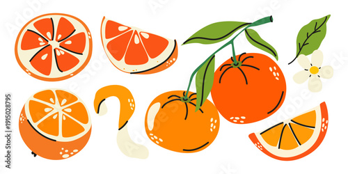 Set of orange fruits in cartoon retro style. Whole orange fruit with leaves, peel, halves and flowers. Healthy ripe citrus stickers. Vector illustration isolated