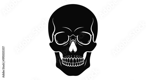 Black Skull Graphic Illustration with Details.