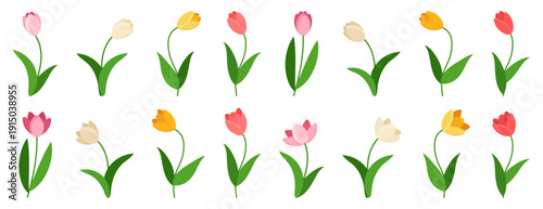 Tulip flowers collection with different colors and shapes. Spring garden plants in flat cartoon style