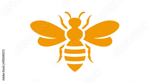 Simplified graphic of a flying insect, with wings outstretched and body segmented in orange