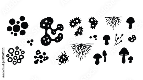 Set of diverse microbial forms and fungi illustrations on a transparent background