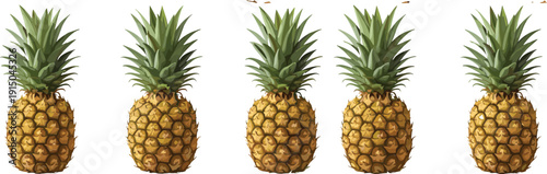 Ripe Pineapple Vector Set with Whole Tropical Fruits Isolated on Light Background for Summer Food, Juice, and Healthy Lifestyle Design