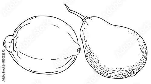 Two fresh fruit illustrations, a lemon and a pear, sketched with bold, black outlines on a white background