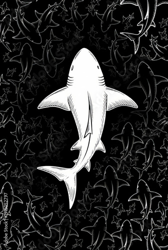 Detailed illustration of a great shark swimming in the ocean showing its features.