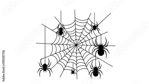 Multiple spiders crawling on a complex spider web from a top-down viewpoint