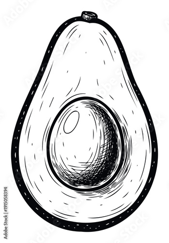 Hand drawn half avocado with seed for organic food packaging and healthy lifestyle blogs or cooking website headers and menu layouts