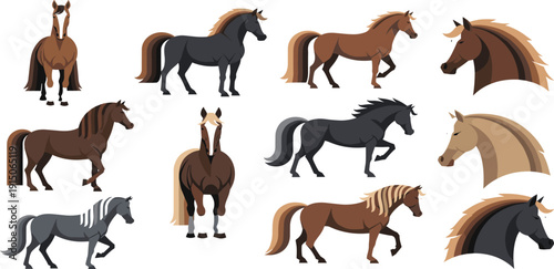 Horse Breeds Flat Illustration Set with Running Standing and Portrait Equine Characters Farm Animal Vector Collection