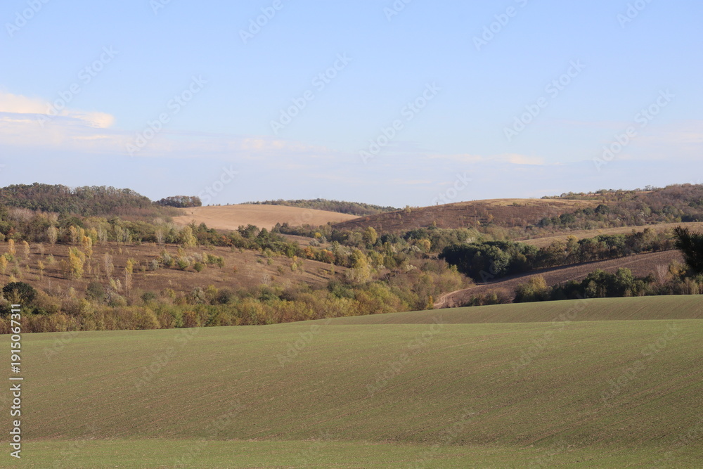 Obraz premium Minimal rolling green fields with distant hills under clear sky