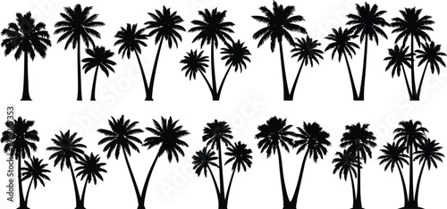 Palm tree silhouette collection, tropical coconut palms vector set, black isolated botanical icons for summer beach design, pattern, logo, illustration