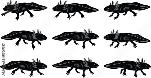 Axolotl silhouette vector set, amphibian icon collection for wildlife design, aquatic salamander illustrations, educational biology graphics, black clipart bundle elements