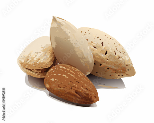 A small pile of almonds with shells isolated on a white background