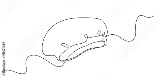 Single continuous line art style shower cap Line art Illustration Editable stroke.