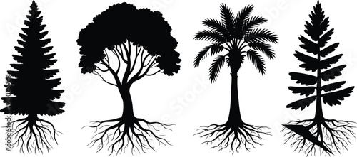 Collection of tree silhouettes with detailed roots, various forest species isolated on white background botanical illustration set