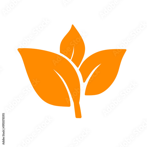 orange leaf vector illustration