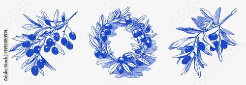 Olive branch wreath leaves berries vintage blue sketch. Hand drawn mediterranean botanical set with olives and foliage. Rustic italian food and oil design elements.