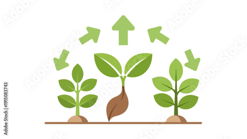 Plant growth stages with arrows indicating development and change.