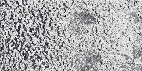 Close-up grayscale textured background with irregular dark speckles and porous areas resembling a mottled, organic, or biological surface for abstract and grunge effects