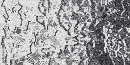 Abstract grayscale textured background with a complex network of interconnected lines and shapes, resembling cracked ice or a mosaic, with grainy noise for artistic effect