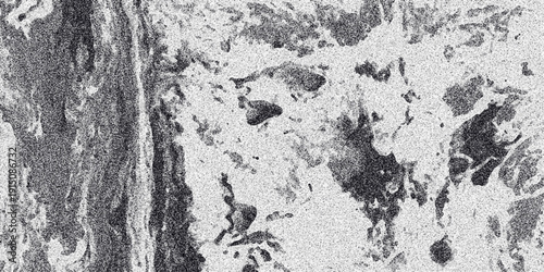 Grayscale textured abstract background with organic fluid-like shapes and a prominent vertical striated element with granular noise