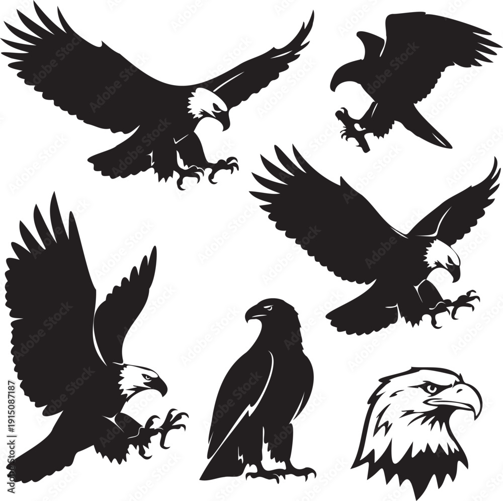 Fototapeta premium Eagle silhouettes flying landing perching head vector