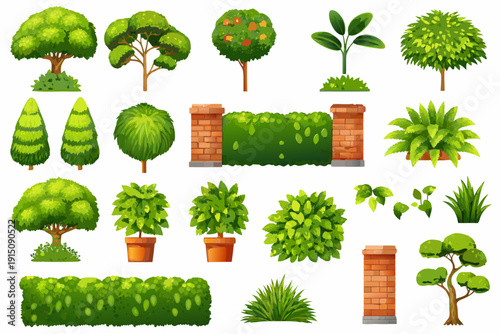 Collection of various green trees shrubs and foliage illustrations