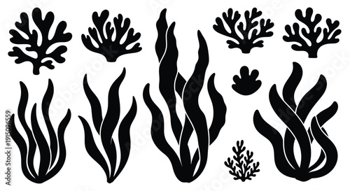 Assortment Of Seaweed And Coral Silhouettes marine