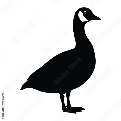 Black Silhouette of a Canada Goose Standing bird waterfowl